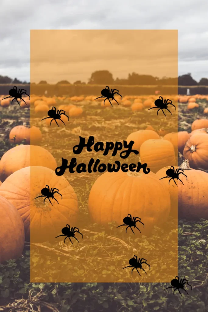 Must Have Labubu Halloween Toys For Collectors
